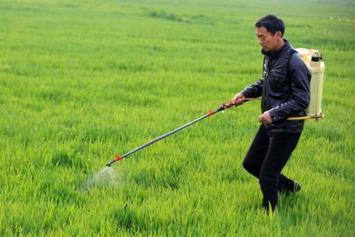 糧食作物病蟲害預(yù)計(jì)激增24%，農(nóng)業(yè)面源與重金屬污染防治技術(shù)亟待強(qiáng)化