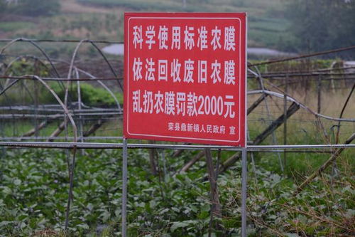 榮縣強(qiáng)化農(nóng)業(yè)面源污染治理，回收農(nóng)業(yè)廢棄物700噸