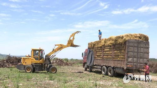 濰坊市深入推進農業面源和重金屬污染防治技術服務，助力農業高質量發展