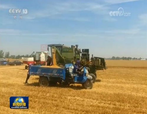 夏糧豐收進(jìn)行時(shí) 主產(chǎn)區(qū)搶收進(jìn)展順利 農(nóng)業(yè)環(huán)保科技助力可持續(xù)發(fā)展