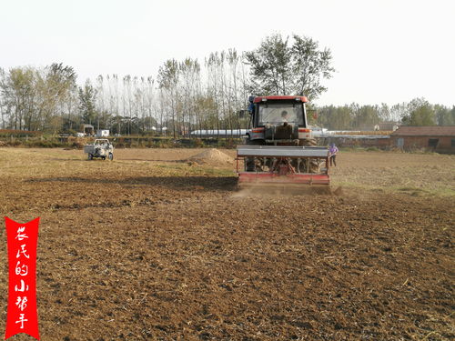 小麥底肥施用時(shí)機(jī)與技術(shù)解析 科學(xué)用肥助力農(nóng)業(yè)綠色防控