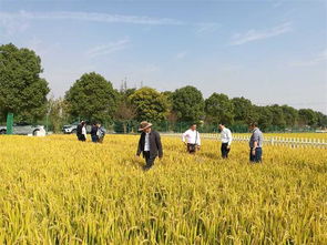 農(nóng)業(yè)養(yǎng)分循環(huán)與面源污染控制學(xué)術(shù)研討會(huì)在南京召開，助力農(nóng)業(yè)面源與重金屬污染防治技術(shù)服務(wù)